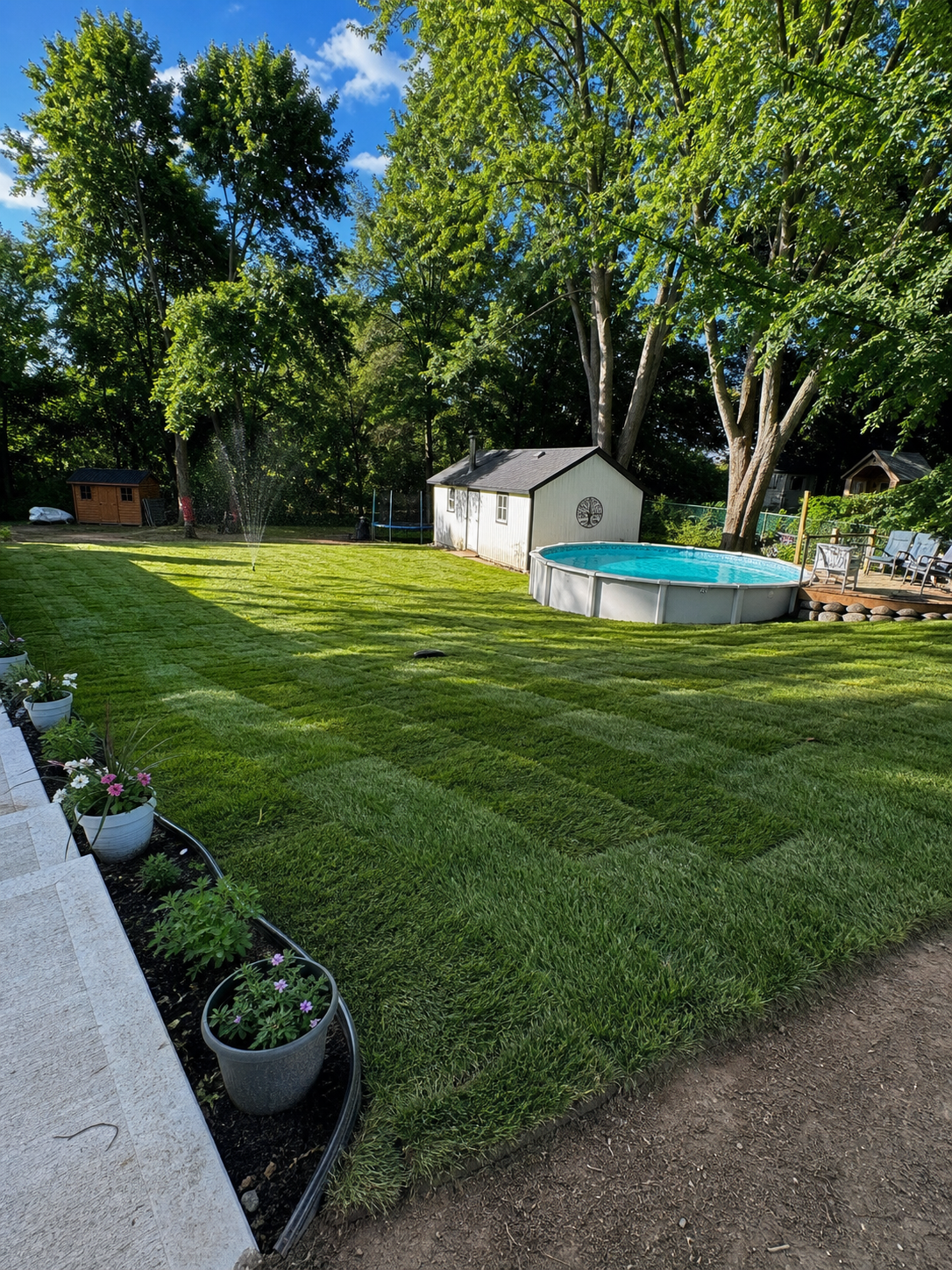 Fresh sod installation around a backyard pool in London Ontario