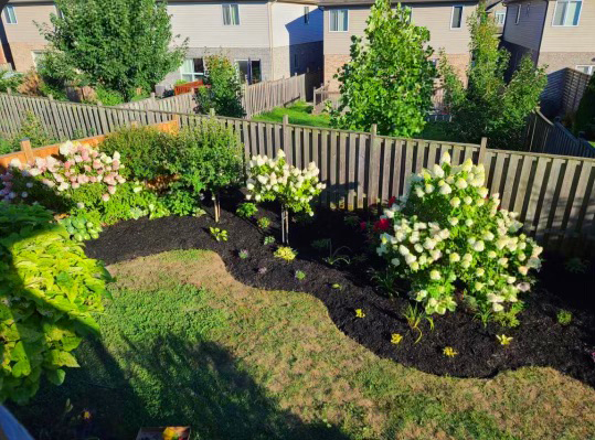 Garden bed planting detail beside a residential property
