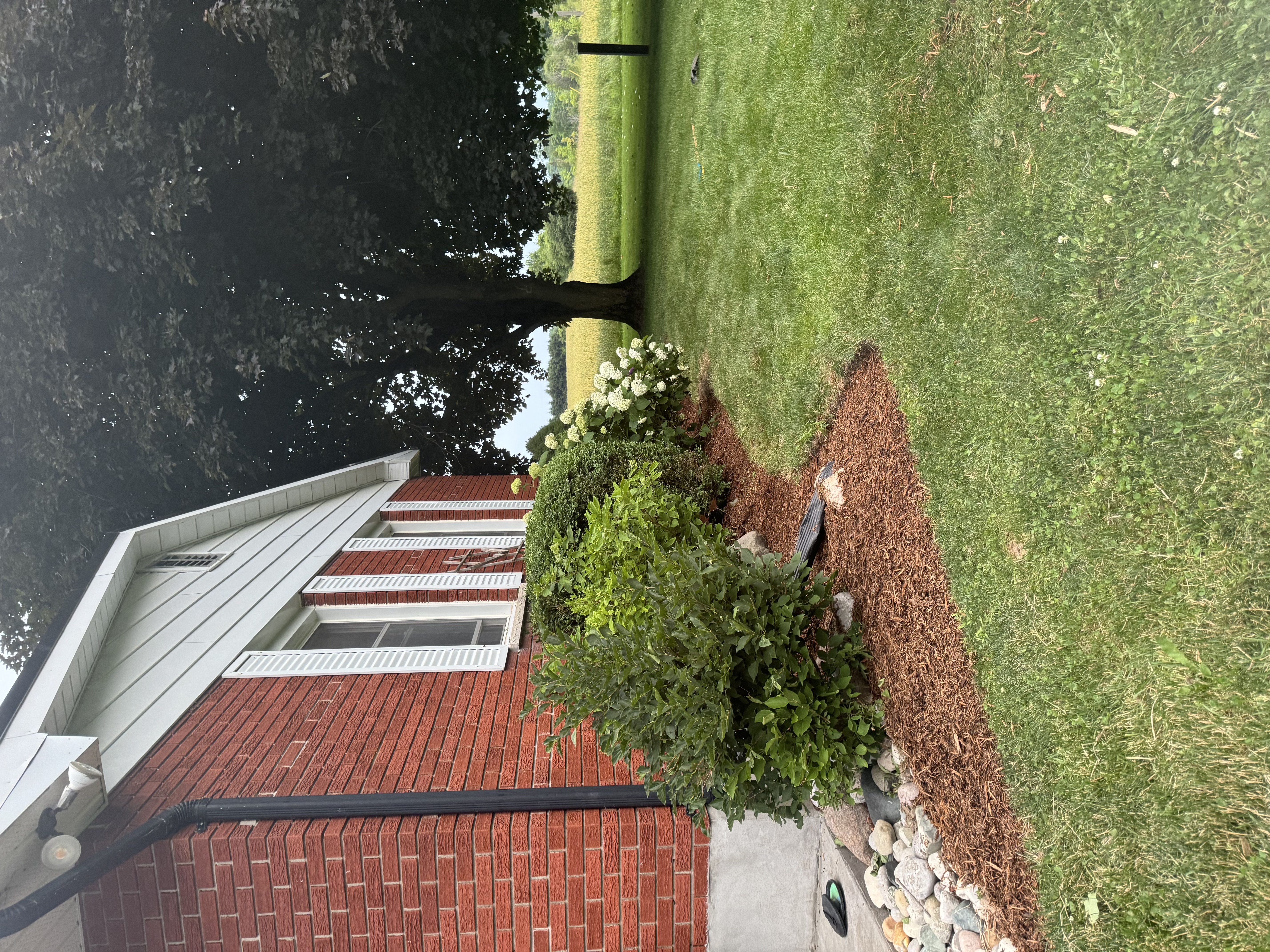 Shrub bed with clean stone and lawn transition
