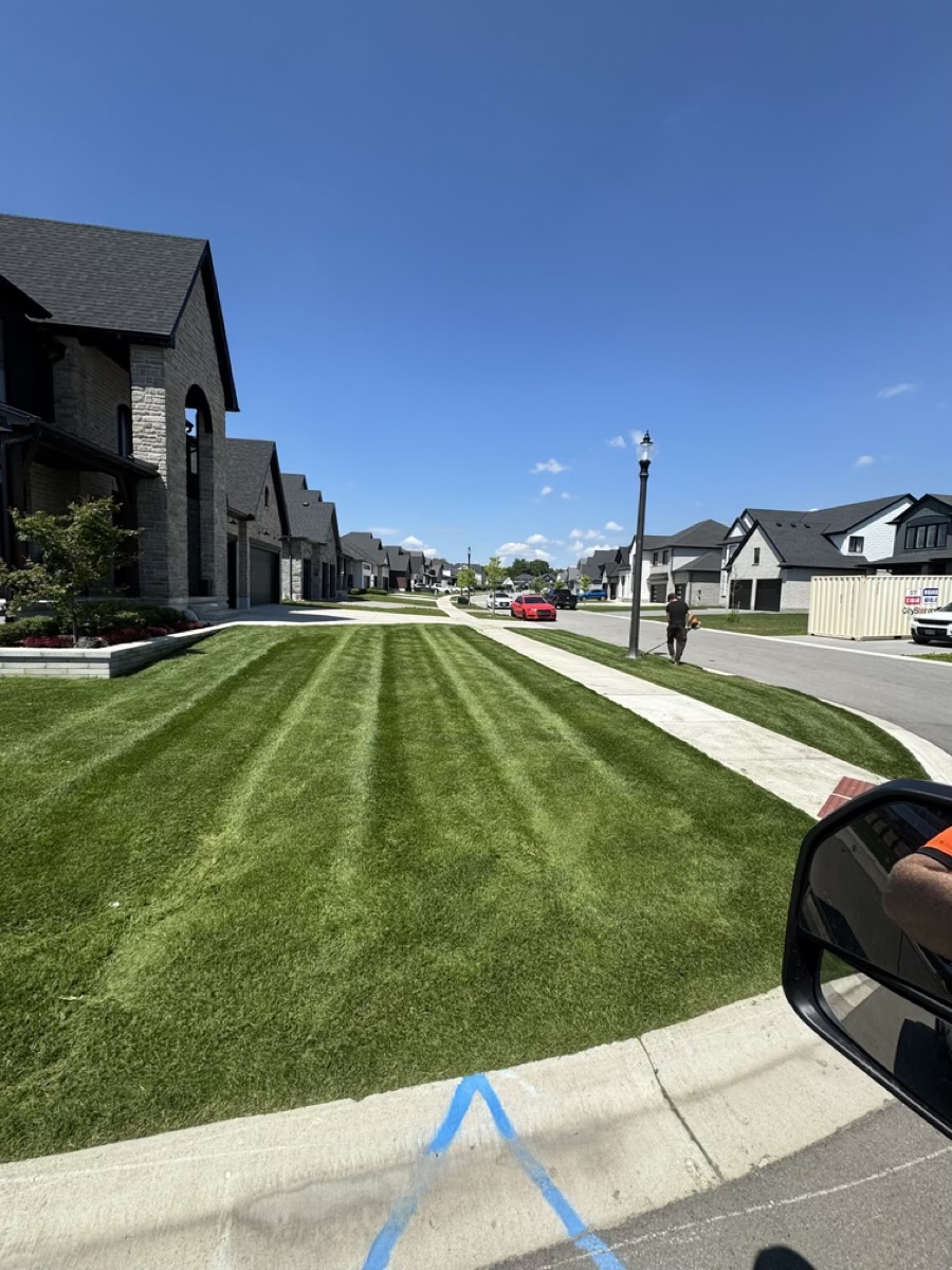 Clean striped lawn finish along a completed landscape