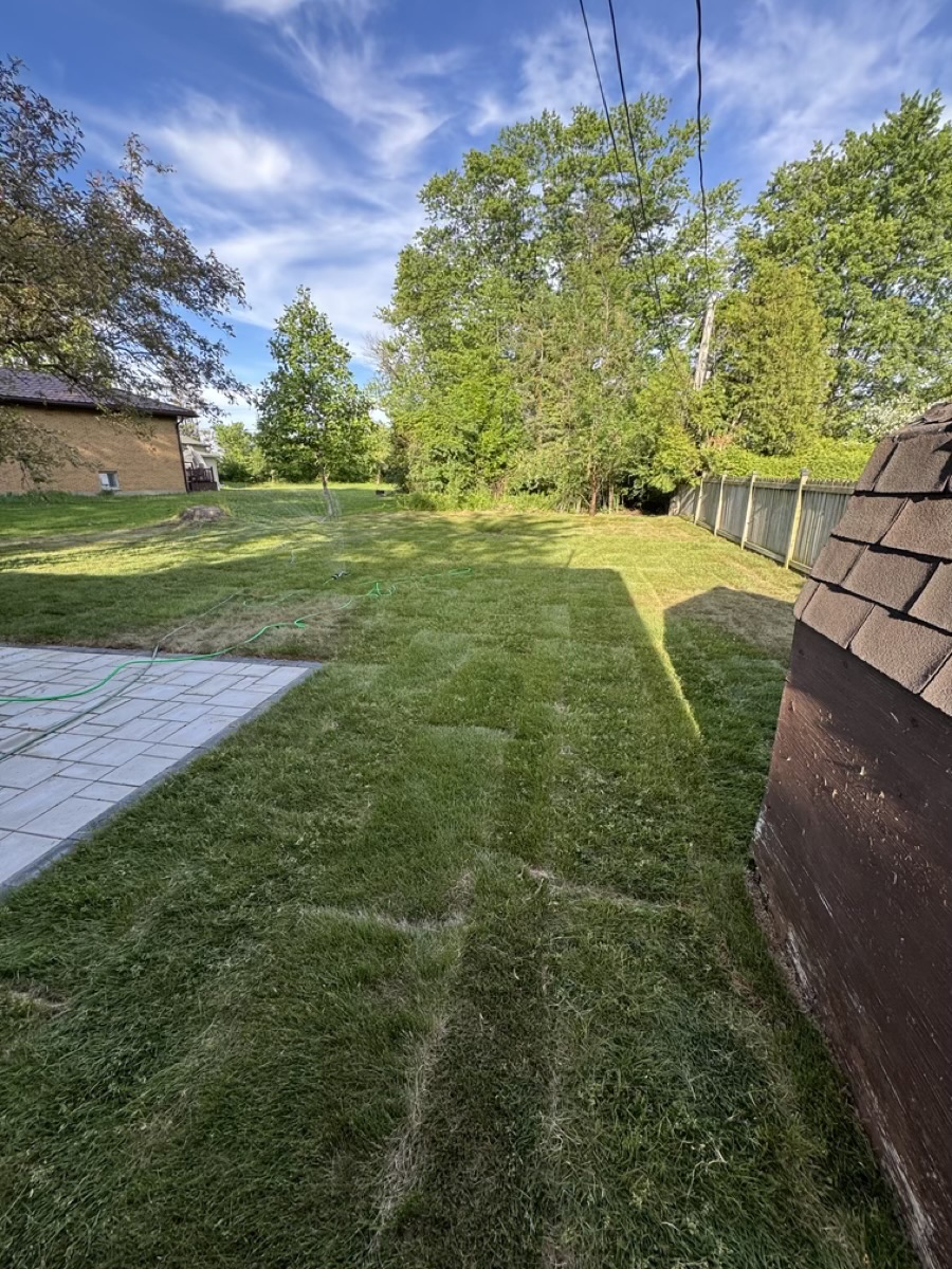 Newly installed sod across a wide backyard