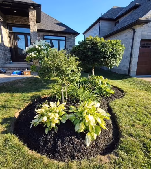 Professional landscape design installation